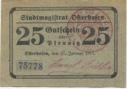 Osterhofen - Stadt - 19.3.1921 - 25 Pfennig 