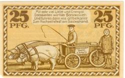 Badetz (heute: Zerbst) - Domäne - 1.9.1918 - 31.12.1921 - 25 Pfennig 