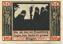 Naumburg - Stadt - 1920 - 50 Pfennig 