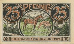 Winsen - Kreis - - 30.6.1921 - 25 Pfennig 